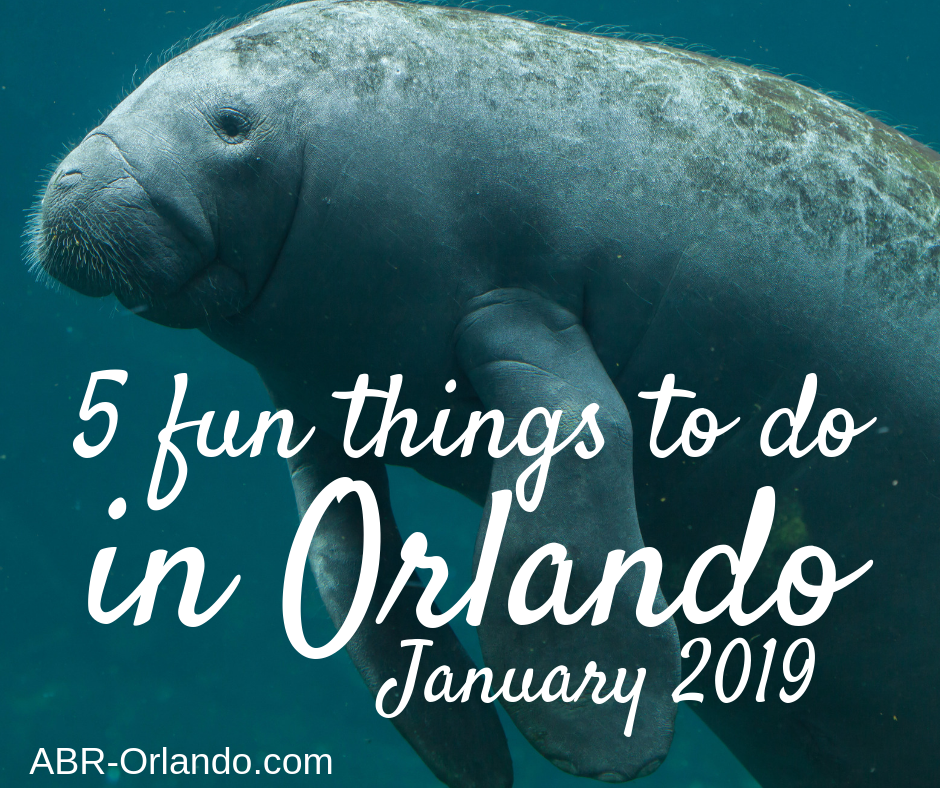  5 Fun Things to Do in Orlando January 2019 - Homes for Sale Orlando